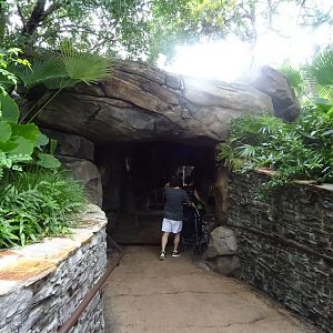 Otter Underwater Viewing Area at Disney's Animal Kingdom (2014)