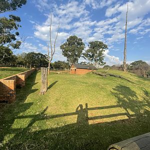 Asiatic Water buffalo and Blackbuck Exhibit (Bubalus bubalis, Antilope cervicapra)