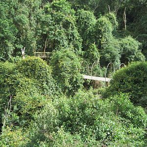 View Inside Birds of Eden Aviary