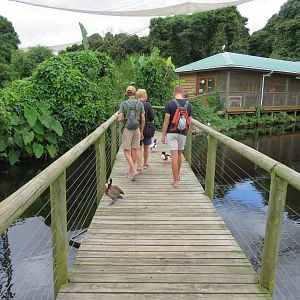 Walkway over pond to Jandaya Cafe