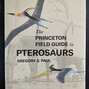 The Princeton Field Guide to Pterosaurs