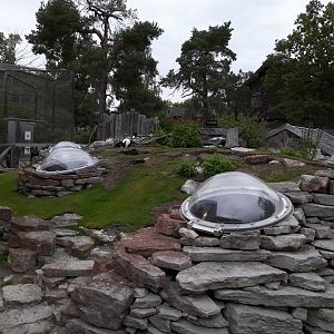 Mellerud rabbit outdoor yard