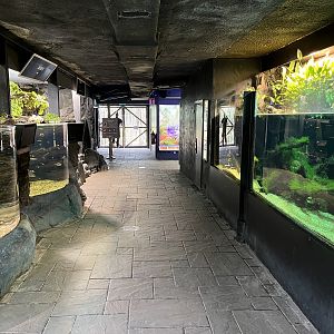 Aquarium Hallway