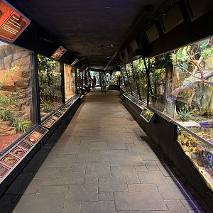Reptile Hallway