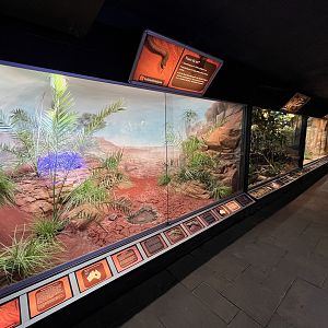 Reptile Hallway
