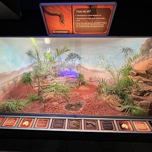 Inland Taipan Exhibit