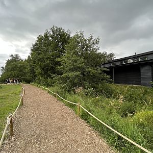 Ring-tailed Lemur Exhibit