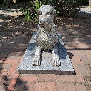 Zoo in Forest Park - Dog statue outside entrance