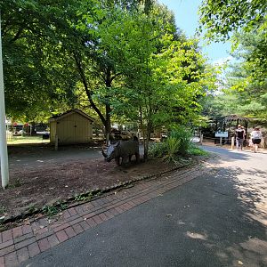 Zoo in Forest Park - Rhino statue, inside entrance