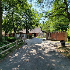 Zoo in Forest Park - Barn (center), herps, armadillo