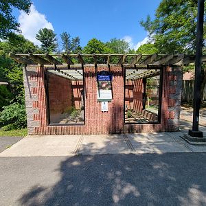 Zoo in Forest Park - Six-banded armadillo