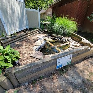 Zoo in Forest Park - Red-footed tortoise