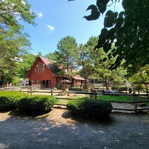 Zoo in Forest Park - Farm area