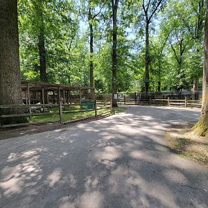 Zoo in Forest Park - Backyard area
