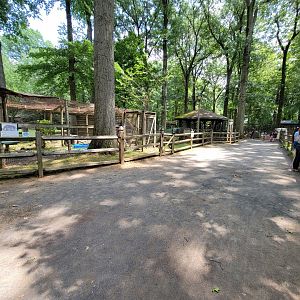 Zoo in Forest Park - Backyard area