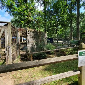 Zoo in Forest Park - Arctic & red fox enrichment area