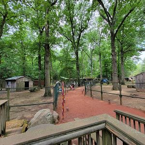 Zoo in Forest Park - Australia