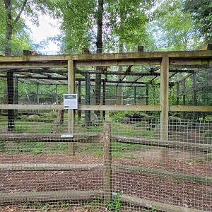 Zoo in Forest Park - Leopard