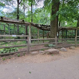 Zoo in Forest Park - Leopard