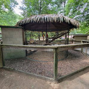 Zoo in Forest Park - Macaws