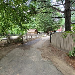 Zoo in Forest Park - Path
