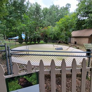 Zoo in Forest Park - Beaver