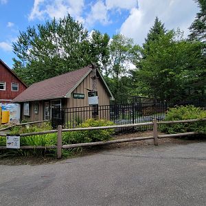 Zoo in Forest Park - Gift shop (closed), American alligator