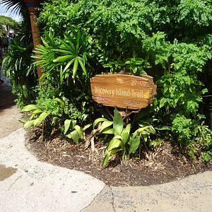 Discovery Island Trails Signage at Disney's Animal Kingdom (2014)