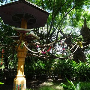 Macaw Enclosure at Disney's Animal Kingdom (2014)