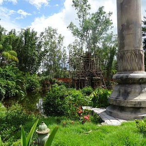 Gibbon Enclosure at Disney's Animal Kingdom (2014)
