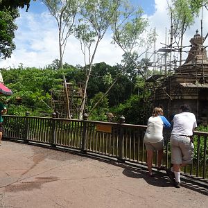 Gibbon Viewing Area at Disney's Animal Kingdom (2014)