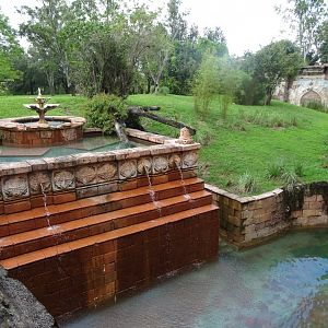 Sumatran Tiger Enclosure at Disney's Animal Kingdom (2014)