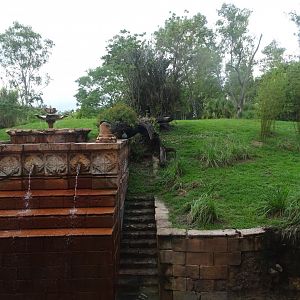 Sumatran Tiger Enclosure at Disney's Animal Kingdom (2014)