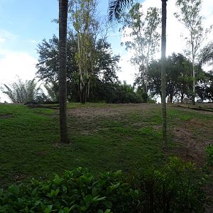 Asian Hoofstock Enclosure at Disney's Animal Kingdom (2014)
