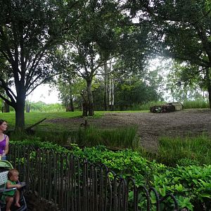 Asian Hoofstock Enclosure at Disney's Animal Kingdom (2014)