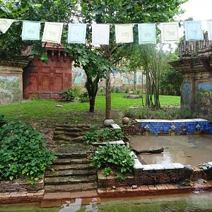 Sumatran Tiger Enclosure at Disney's Animal Kingdom (2014)