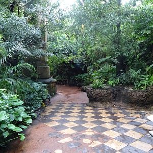 Maharajah Jungle Trek at Disney's Animal Kingdom (2014)