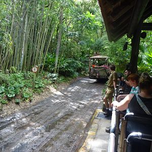 Kilimanjaro Safaris Boarding Area at Disney's Animal Kingdom (2014)