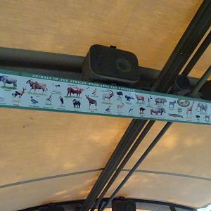Harambe Wildlife Reserve Species List at Disney's Animal Kingdom (2014)