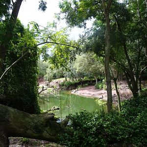 Harambe Wildlife Reserve at Disney's Animal Kingdom (2014)