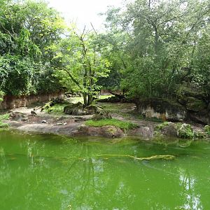 Harambe Wildlife Reserve at Disney's Animal Kingdom (2014)