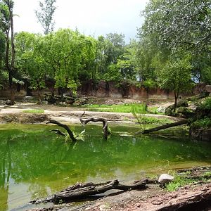 Harambe Wildlife Reserve at Disney's Animal Kingdom (2014)