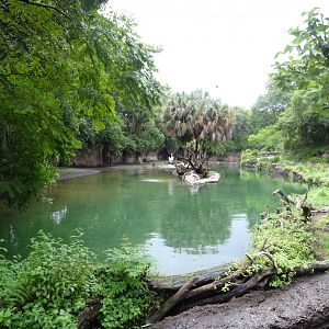 Harambe Wildlife Reserve at Disney's Animal Kingdom (2014)