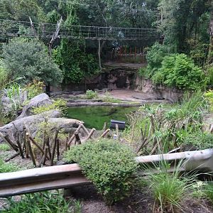 Nile Crocodile Enclosure at Disney's Animal Kingdom (2014)
