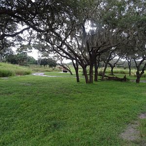 Harambe Wildlife Reserve at Disney's Animal Kingdom (2014)