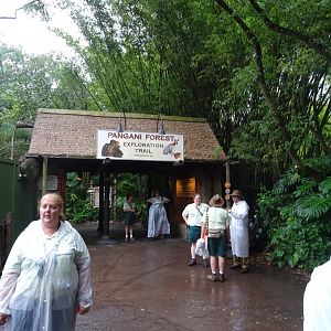 Entrance to Pangani Forest at Disney's Animal Kingdom (2014)