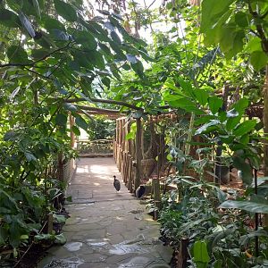 Yucatan (tropical house)