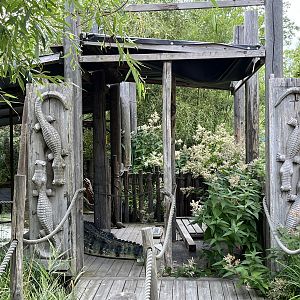 Empty Crocodilian Exhibit