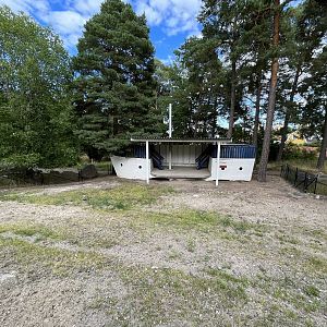 Visayan Warty Pig Exhibit (with boat!)