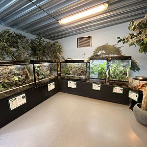 Gibbon House - terrariums